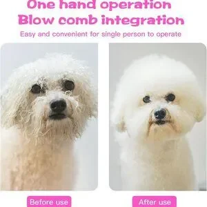2-in-1 Pet‎ Grooming Hair Blow Dryer With A Hair Comb