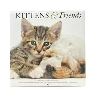 2019 Kittens & Friends Gladstone Media Wall Calendar New