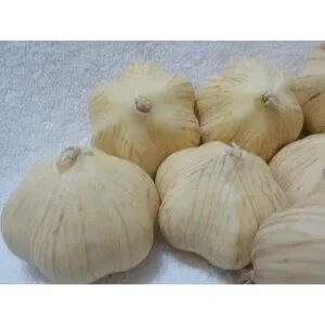 3/10 11 Pc Realistic Faux Garlic Decor Decorative Farmhouse Country Kitchen