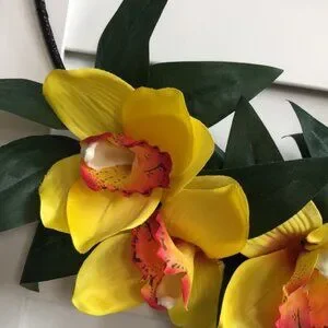 3/$20 Yellow Pink Dotted Orchid Flower Hawaiian Tropical Black Twine Hoop Wreath