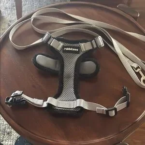 ❤️3 for $15 ❤️ rabbitgoo Cat Harness and Leash Set Escape Proof Soft XXS