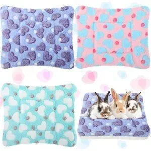 3 Pcs Bunny Guinea Pig Beds