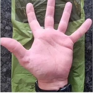 300 Earth Rated Dog Poop Bags Large NWT