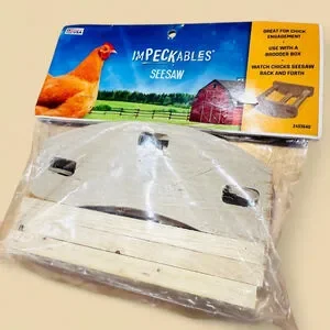 4-Piece Brooder Chick Engagement Wood Kits NEW