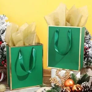 5 Pack Metallic Paper Gift Bags with Handle and Tissue 9 x 7 x 3.1