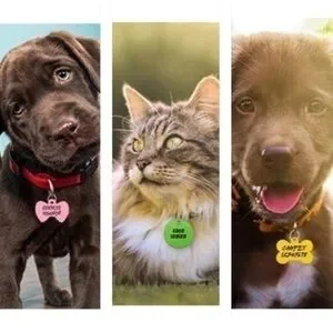5 Pet ID Tags For Dogs & Cats