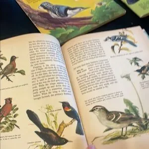 70’s Bird Stamp Books And Information Book