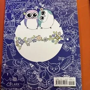 A Million Owls Coloring Book - Multicolor