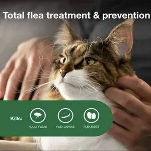 Advantage II Flea Treatment For Large Cats Over 9 Lbs - 6 Doses