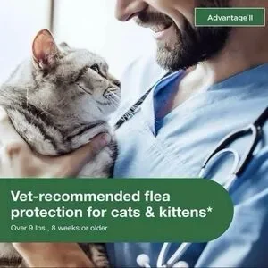 Advantage II Flea Treatment For Large Cats Over 9 Lbs - 6 Doses