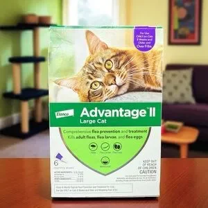 Advantage II Flea Treatment for Large Cats Over 9 lbs - 6 Doses