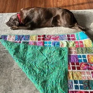 Alaska Quilters Multi Quilt