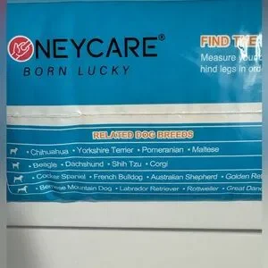 All-Absorb Disposable Male Wraps - Blue