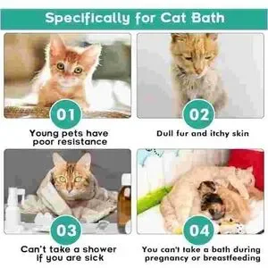 Amazon Waterless Cat Shampoo With Brush - White And Green