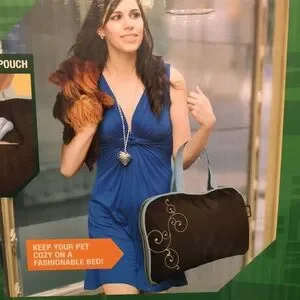 Animal Planet Portable Pet Bed