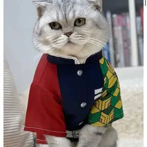 Anime pet costume Size Large