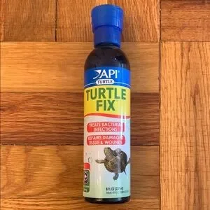 API Turtle Fix