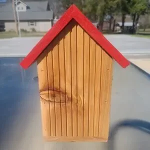 Arkansas Razorbacks Custom Made New Bird House Amazing Detail & Color 11' By 11'