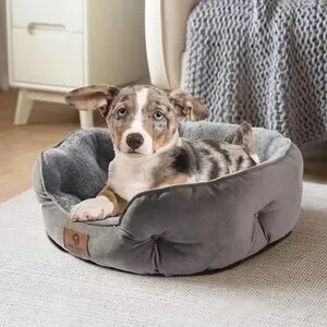 Asvin Grey Plush Pet Bed 20 Inches