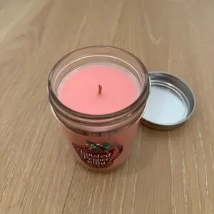 Bath And Body Works Twisted Peppermint 1 Wick Candle Pink Winter Holiday Vanilla