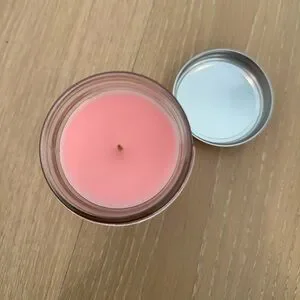 Bath And Body Works Twisted Peppermint 1 Wick Candle Pink Winter Holiday Vanilla