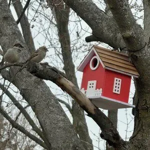 Beautiful Bird House For Outside