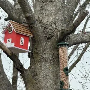 Beautiful Bird House For Outside