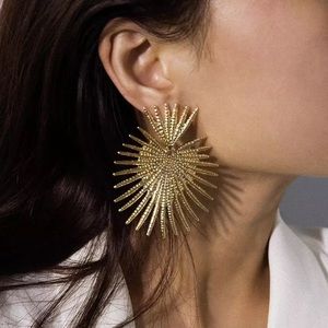 ⭐️ Big Gold Earrings