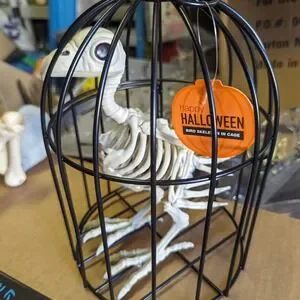 Bird Skeleton in a Cage Halloween Decoration