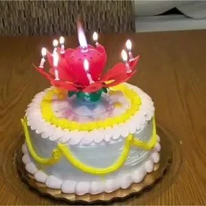 BIRTHDAY Cake Musical Candle Lotus Flower Sparkling NWT