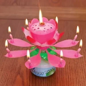 BIRTHDAY Cake Musical Candle Lotus Flower Sparkling NWT