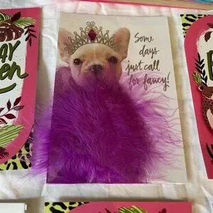 Birthday Queen Bday Cards With Pink Feathers