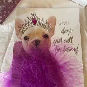 Birthday Queen Bday Cards With Pink Feathers