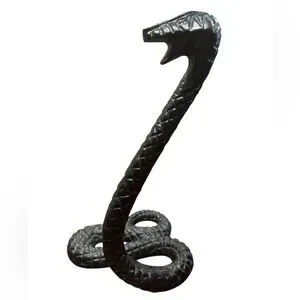 Black Reptile Snake