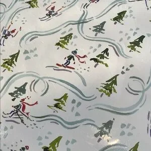Blue And White Paper Placemats - 24 Pack New Lucy Grymes Brand Winter Design
