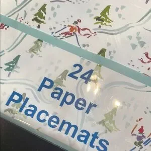 Blue And White Paper Placemats - 24 Pack New Lucy Grymes Brand Winter Design