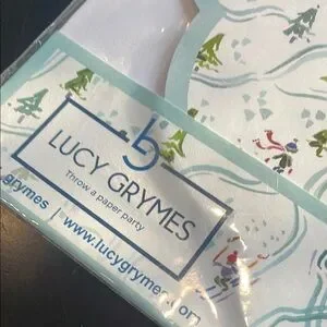 Blue And White Paper Placemats - 24 Pack New Lucy Grymes Brand Winter Design