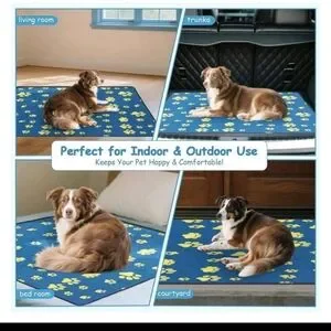Blue And Yellow Paw Print Dog Pee Pad Set