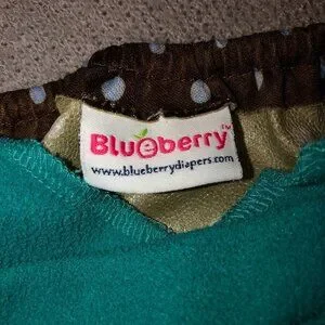 Blueberry Pocket Diaper & Wetbag Set