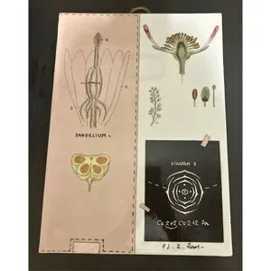 Botanical Wall Plaques Fabienne Jouvin