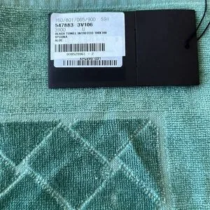 Bottega Veneta Intrecciato Light Green Beach Towel