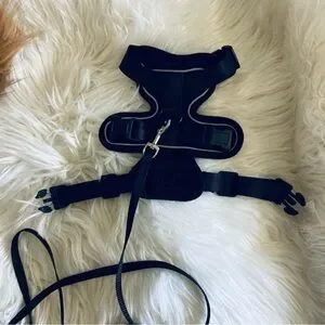 Bundle Of Small Dog/Cat Harnesses & Collars