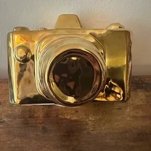 Camera Decor Gold Statement Piece For Your Home Shiny Gold Camera Decoration NWT