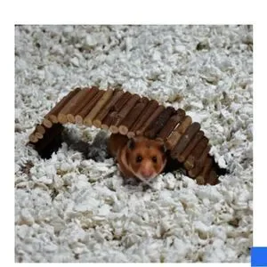 Care Fresh Small Pet Bedding