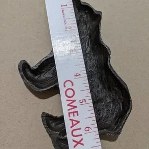 Cast Iron Bear Sculpture Trinket Ring Holder Rustic Lodge Cabin Home Decor NEW