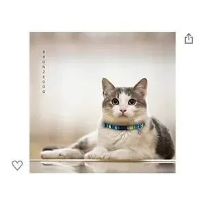 Cat Collar With Bell 6 PCS Aztec Pattern Safety Collars For Cats Kitten