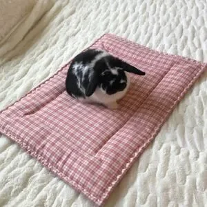 Cat Dog Pet Mat/Bed Hello Kitty Aqua 18 x 24