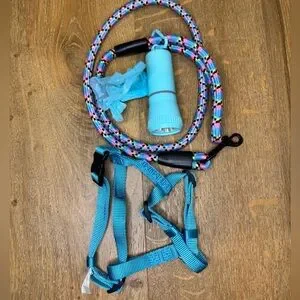 Cat Dog Puppy Walk Set Kit harness Leash Bag Holder Flashlight 80s Style Retro