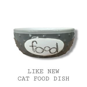 Cat Food Bowl - no chips