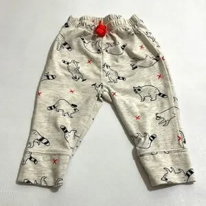 Cat & Jack Raccoon Onesie/Pants Set